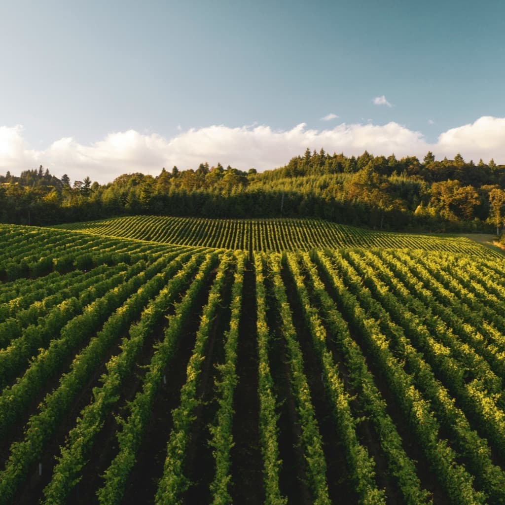 Landwirtschaftliche Aufnahme